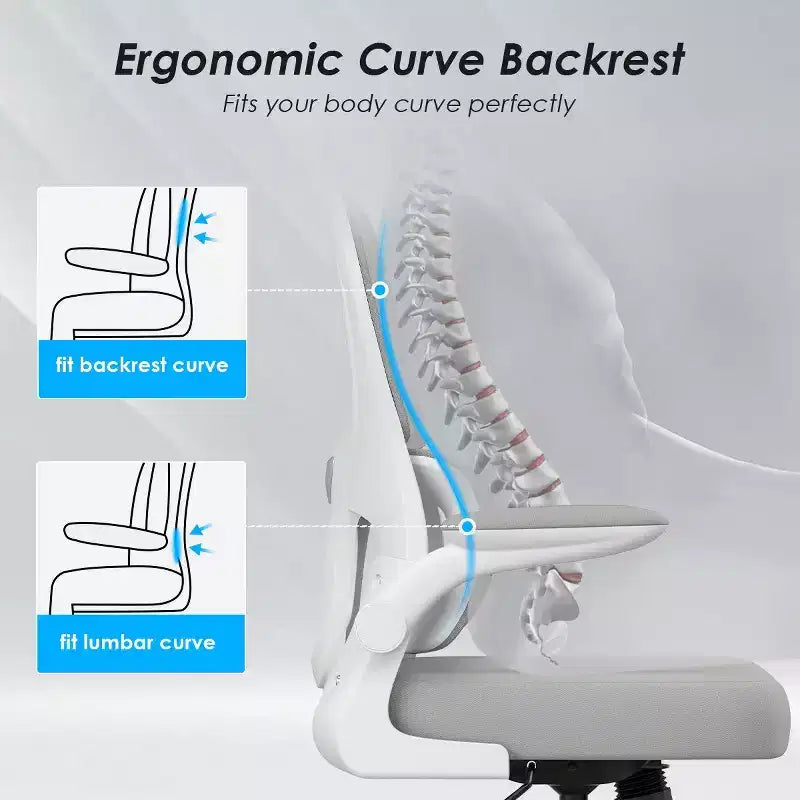 Chaise de bureau ergonomique en maille avec soutien lombaire et accoudoirs rabattables
