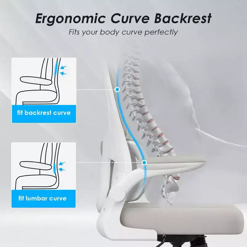 Chaise de bureau ergonomique en maille avec soutien lombaire et accoudoirs rabattables
